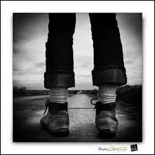 Que n'a-t-il pas non plus ?