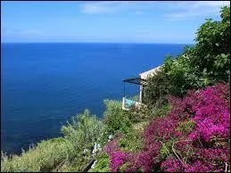 Depuis quelle année le Portugal participe-t-il au concours Eurovision de la chanson ?