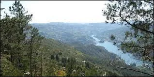 En quelle année Rui Costa fut-il champion du monde en cyclisme ?