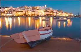 Quelle est la langue officielle de ce pays ?