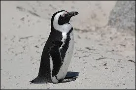 Regardez la photo. Elle représente...