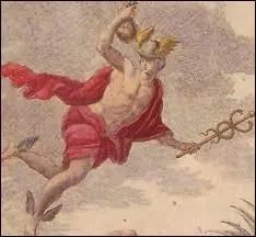 Ses animaux favoris sont la tortue et :