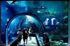 En 21 ans, ce bâtiment a accueilli six millions de visiteurs.