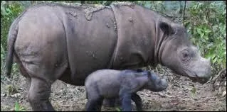 Combien d'individus un groupe compte-t-il ?