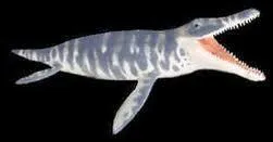 En quelle année la seconde fut-elle décrite ?