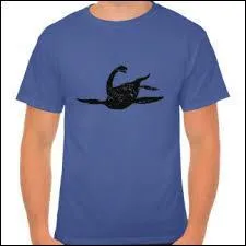 Quelle était sa longueur maximale ?