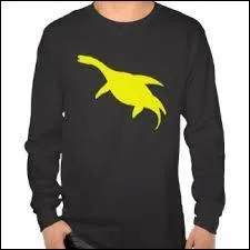 Quelle est la partie la plus longue de son corps ?