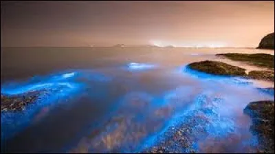 Que fait la mer quand elle "lampe" ?