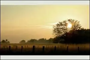 Que représente le mot "journaunte" ?