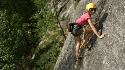 Quelle est cette activité ?