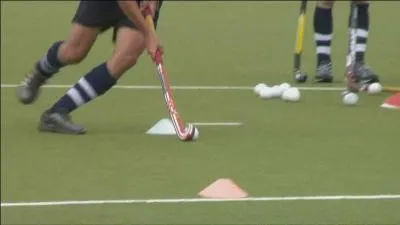 Quel sport est représenté sur l'image .