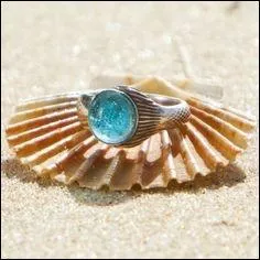 Qu'est-ce que cet objet ?