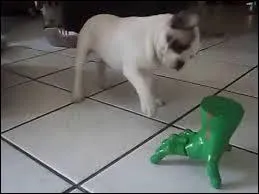 De quel jeu vient cette main verte que vous voyez sur la photo ?