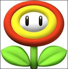 De quel jeu vient cette fleur ?