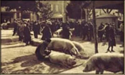 Le choix de la viande exige un savoir-faire ancestral pour une qualité de produits optimale. Quels sont les critères ?