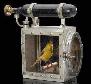 On l'emmène dans la mine comme détecteur de grisou. Quand l'oiseau se sent mal, ça veut dire qu'il y a du grisou dans l'air.