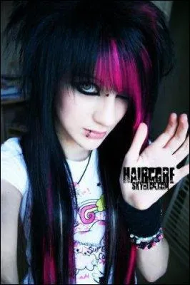 Comment s'appelle ce style ?