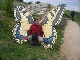 Si vous appréciez planer et les sensations fortes (je ne parle pas de produit stupéfiant...), équipez-vous d'un parachute et élancez-vous dans le vide, en sautant d'une falaise par exemple. Cela désigne la pratique du :