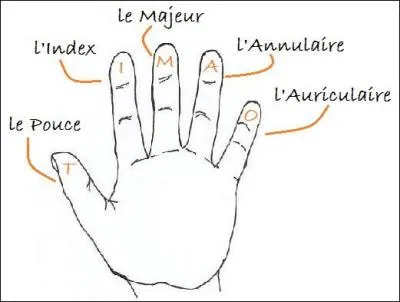 Quand on prononce la shahâda, quel doigt doit-on lever ?