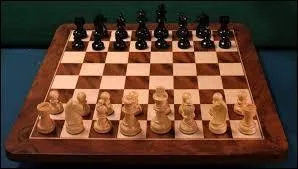 Si vous faites la collection de jeux d'échecs, vous êtes un :