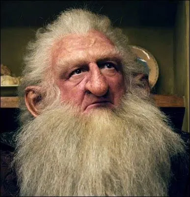 Quel acteur incarne le rôle de Balin ?