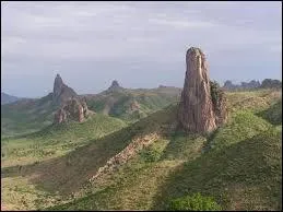 Dans les rues de Yaoundé, que trouve-t-on en masse ?