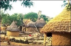 Quelle langue parle-t-on au Cameroun, majoritairement ?