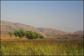 Peut-on voir des lézars à Nanga Eboko ?