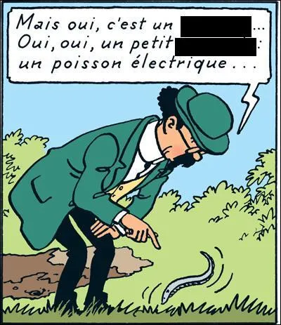 Ce poisson ne possédant pas de nageoire dorsale a été nommé, logiquement, « dos nu ».