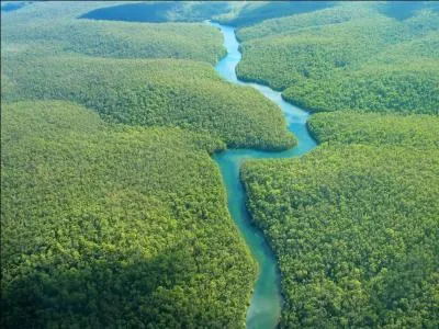 Où se situe la forêt amazonienne ?