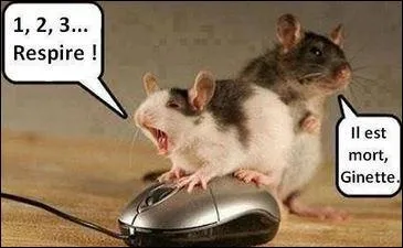 Son cadavre a été ramené sur la plage... '