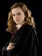 En quelle année traite-t-il Hermione Granger de sang de bourbe ?