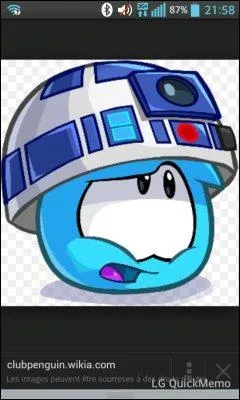 Quel est le premier pingouin &agrave; avoir mis une patte sur l'&icirc;le ?