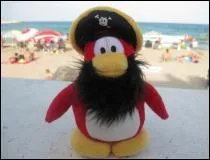 Comment s'appelle le Puffle Rouge de Rockhopper ?