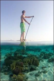 Quel est ce sport de glisse, pratiqué en bord de mer ?