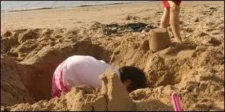 Guillaume creusa un trou à l'aide d'une ______.