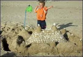 Mélanie et Guillaume aidèrent un enfant à construire des ______.