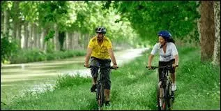 Parfois, Synapse se balade à _____ avec sa petite amie.