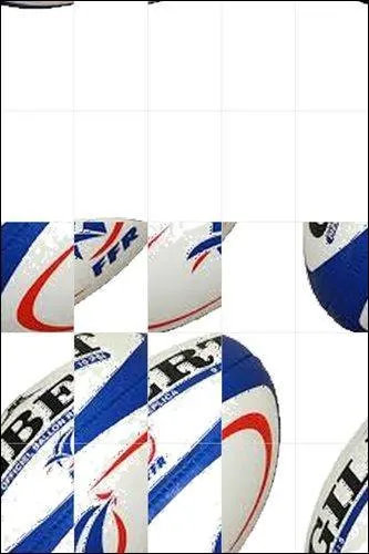 Dans quel sport s'illustre l'international français Frédéric Michalak ?