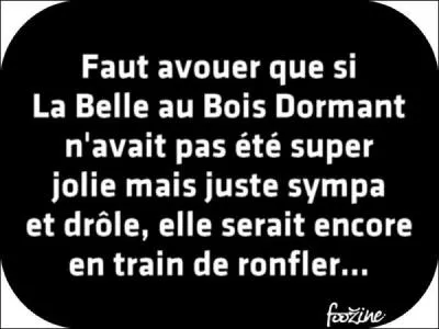 Qui est La belle au bois dormant ?