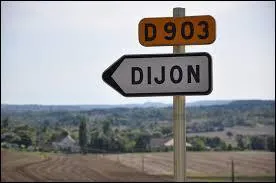 Dijon, capitale de la moutarde, est une ville de Côte-d'or.
Ses habitants sont les Dijonnais. Que dire de cette affirmation ?