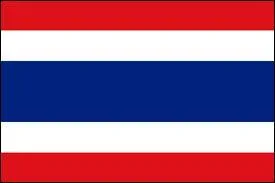 Quel pays représente ce drapeau ?