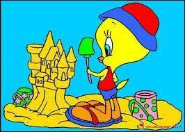 Pour finir Sylvestre et Grand-mère ont décidé d'aller à la plage. Titi en profite pour faire des châteaux de sable mais. Quelle espèce d'oiseau est Titi ?