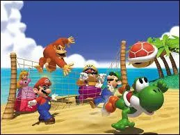 Mario fait une partie de beach-volley avec ses amis. Lequel de ses amis n'est pas présent lors de cette partie ?