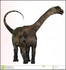 Que signifie « Antarctosaurus » ?