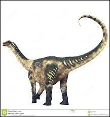 Sur quel continent vivait-il ?