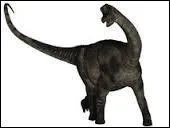 Au maximum, il pèse :