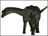 En quelle année cette espèce fut-elle découverte ?