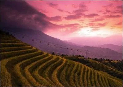 Dans quel pays se situe la région du Darfour ?