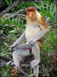 Quelle taille mesure-t-il au minimum ?